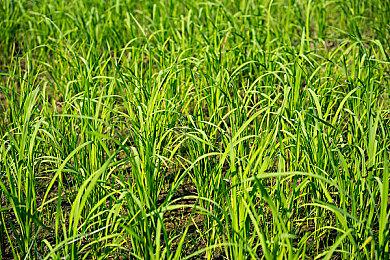 《仙剑奇侠传7》广告现身北京地铁 篇幅不大数量不少