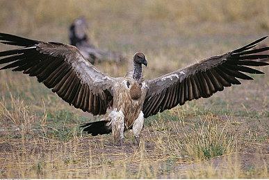 《新世界》太火爆了 数千人排队等待进入游戏